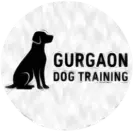 Gurgaondogtraining